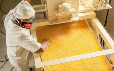 Boletim Sementes Crioulas – por uma alimentação livre de transgênicos e agrotóxicos